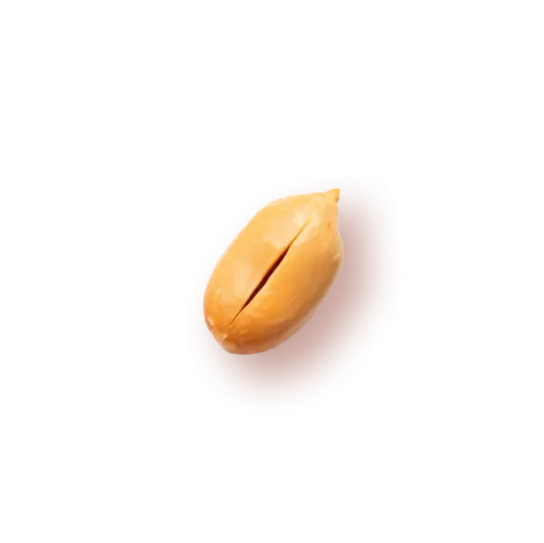 Kikiriki