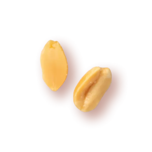 Kikiriki